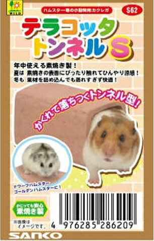 【12個セット】 株式会社三晃商会 S62　テラコッタ　トンネルS