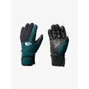 yNAXzTHE NORTH FACE UEm[XtFCX A[X[O[uijZbNXj / Earthly Glove NN62334 AE