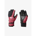 yNAXzylCACeP10{zTHE NORTH FACE UEm[XtFCX A[X[O[uijZbNXj / Earthly Glove NN62334 LR