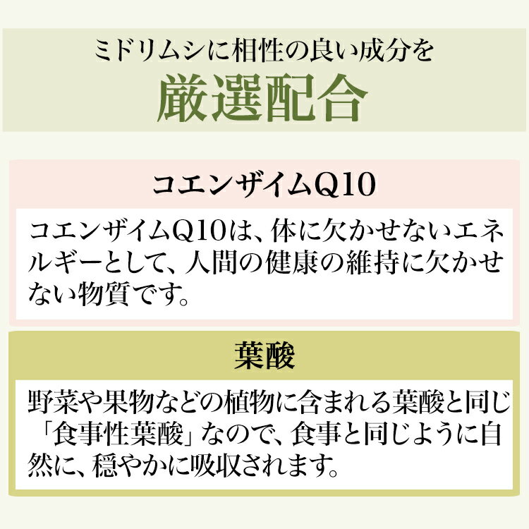 ユーグレナ ミドリムシエメラルド サプリメント 5本セット 93粒入り 1本約1ヶ月分 高含有 QVCでも紹介 NHKあさイチで話題 品質重視 送料無料 3