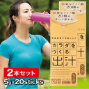 飲む出汁で健康新習慣 カラダをつくる出汁 2本セット(1本5g入×20スティック) カラダに必要なアミノ酸20種がすべて摂れる 完全無添加 かつお いわし 無臭にんにく こんぶ 送料無料