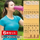飲む出汁で健康新習慣 カラダをつくる出汁 6本セット(1本5g入×20スティック) カラダに必要なアミノ酸20種がすべて摂れる 完全無添加 かつお いわし 無臭にんにく こんぶ 送料無料
