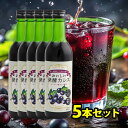 おいしい発酵カシス 5本セット 340ml 飲みやすくておいしい 国産 天然酵母入り ポリフェノール 甜菜 てんさい糖 発酵食品 目の健康に役立つアントシアニン...