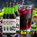 おいしい発酵カシス 6本セット 340ml 飲みやすくておいしい 国産 天然酵母入り ポリフェノール 甜菜 てんさい糖 発酵食品 目の健康に役立つアントシアニン...