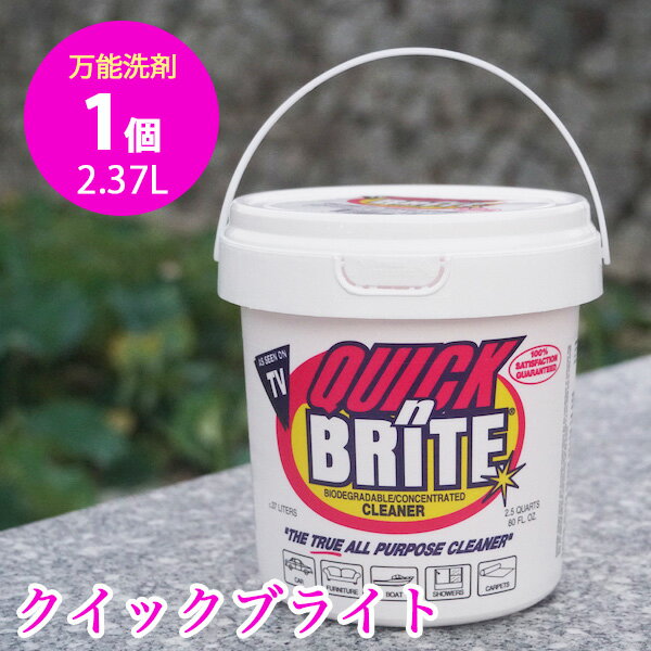 クイックブライト 万能洗剤 オススメ クリーナー 車内 バイク 洗車 ホイール 革 レザー バッグ 