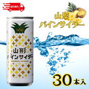 【6/22 20:00~ 6/27 01:59 ポイント2倍】【30本セット】サン&リブ 山形食品 山形パインサイダー ケース販売 250mL×30本入 ギフト お中元 お歳暮 父の日 母の日 ご当地サイダー 夏祭り ドリンク まとめ買い 送料無料 ケース販売 懐かしの味