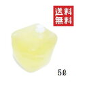【フローラ】 消臭 大容量 業務用 5リットル 植物性消臭...