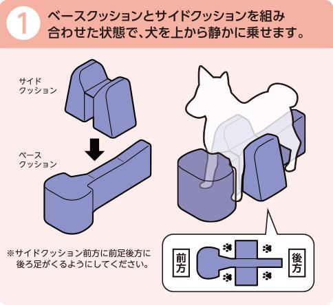 アロン化成 OneAid ワンエイド 姿勢サポートクッション DM ペット用 小型犬 短足犬 老犬 介護用品 足腰サポート シニア犬