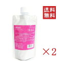 【イチオシ】日華化学 DEMI デミ ウェーボ デザインキューブ ソフトグロス 200g×2個セット まとめ買い 詰替 リフィル スタイリング