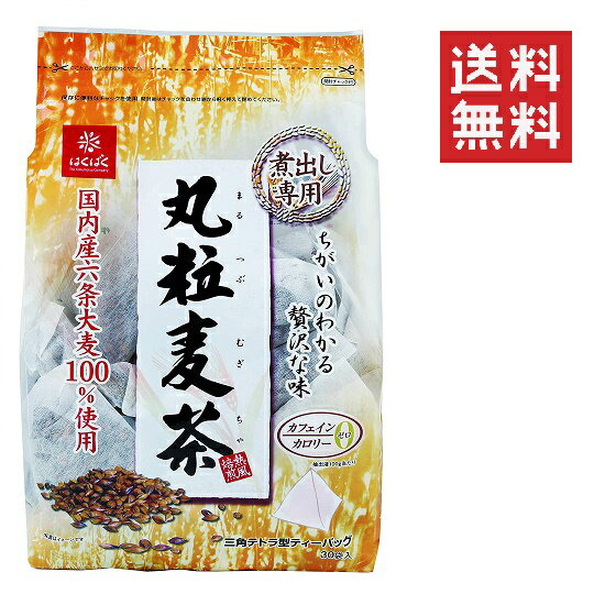 ͂΂ ۗ 900g(30g~30) ނ Ϗo Z唞 JtFCJ[[ Ɩp e p