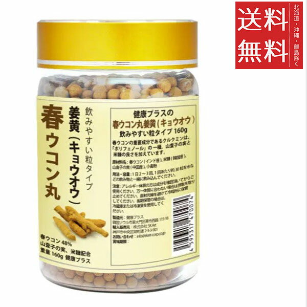 SK-Art 健康プラス 春ウコン丸 160g 1500粒入り サプリメント