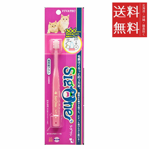 ڥ륹ڡ㤨֡ڥ᡼/̵ۥӥХƥå  ǭѻ֥饷 360إåɥ֥饷 Ф  м   ᤭ʴ ¡פβǤʤ880ߤˤʤޤ