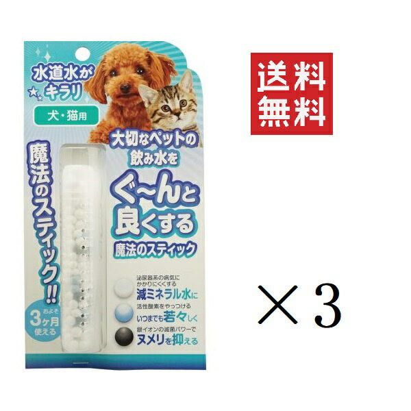 ビーブラスト B-blast 魔法のスティック 犬猫用 3本入り×3個セット まとめ買い 腎臓 尿石 水素水 浄水 給水 グッズ