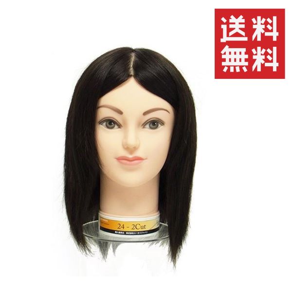 ユーカリジャパン 国家試験練習用カットウィッグ 24-2cut 人毛100% トレーニング用マネキン セット サロン 美容師 練習 カット