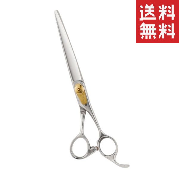 ڥ᡼/̵ۥɥ꡼ ȥ졼ȥ Speed series AD-65P ڥå   Ϥ ȥߥ