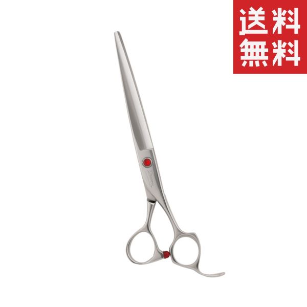 !!ݥ!! ڥ᡼/̵ۥɥ꡼ ȥ졼ȥ SP series SP-2 å ڥå   ...