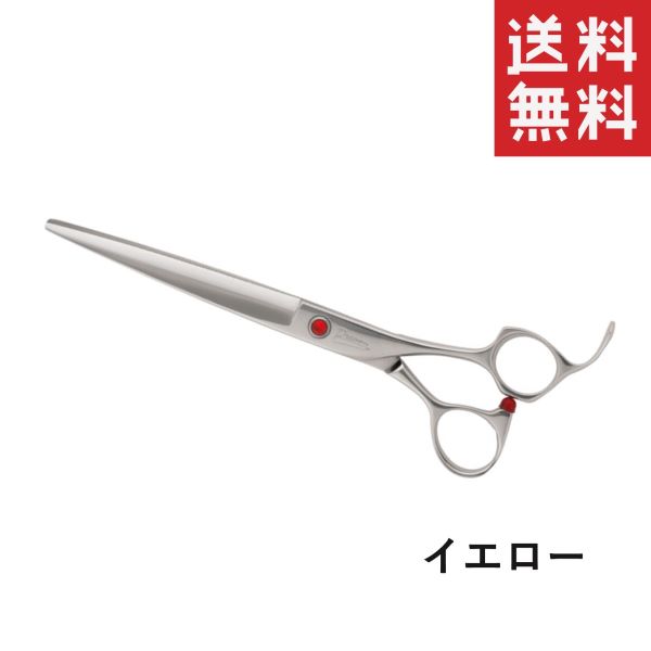 !!ݥ!! ڥ᡼/̵ۥɥ꡼ ȥ졼ȥ SP series SP-2  ڥå  ...