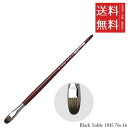 【!!クーポン配布中!!】 【メール便/送料無料】ホルベイン ダ ヴィンチ画筆 Black Sable 1845 No.16