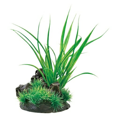 【同梱不可】【6個セット】ジェックス癒し水景アクアキャンバスシペルス