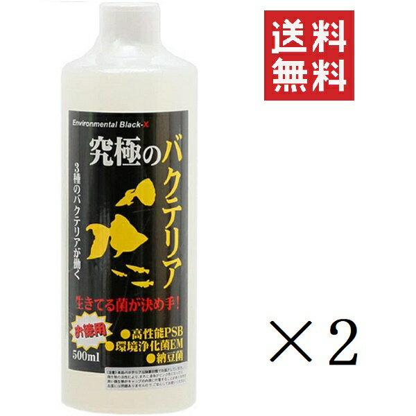  ビーブラスト B-blast 究極のバクテリア 500ml×2本セット まとめ買い 観賞魚 熱帯魚 水槽 濾過