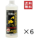 【クーポン配布中】 【即納】ビーブラスト B-blast 究極のバクテリア 500ml×6本セット まとめ買い 観賞魚 熱帯魚 水槽 濾過