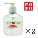 【!!クーポン配布中!!】 中央有機化学 エポラール ヘアー・ザ・サン ウォーターグリース 300g×2個セット まとめ買い 水性ポマード ポンプ スタイリング サロン 美容室
