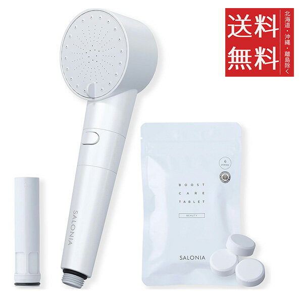 SALONIA サロニア シャワーヘッド ファインバブルクリア クリアセットホワイト SAL23303WH 美容バブルシャワー 炭酸美容 マイクロナノバブル 節...