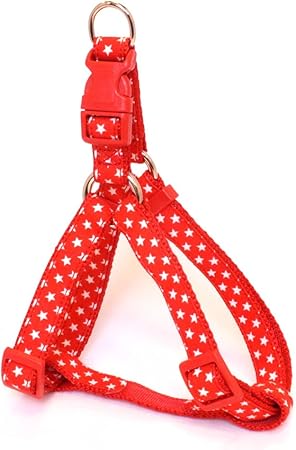 リードッグ 【同梱不可】【3個セット】LEADOGアールカンタンハーネスSアカ