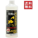 【!!クーポン配布中!!】 【同梱不可】【2個セット】ビーブラスト B-blast 究極のバクテリア 500ml