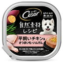 【!!クーポン配布中!!】 【同梱不可】【56個セット】 マースジャパンリミテッド シーザー自然素材レシピ平飼いチキン&さつまいも・いんげん85g
