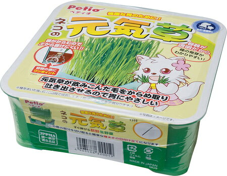 【同梱不可】【3個セット】ペティオ ペティオネコの元気草