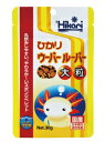 【!!クーポン配布中!!】 【同梱不可】【3個セット】ひかりひかりウーパールーパー大粒30g