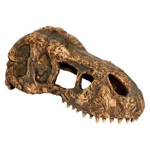 ジェックス 【同梱不可】【2個セット】ジェックス T-REXスカルSPT2860