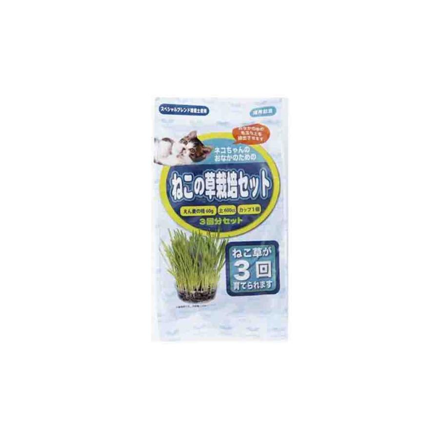 【同梱不可】【10個セット】アラタ ねこの草栽培セット3回分