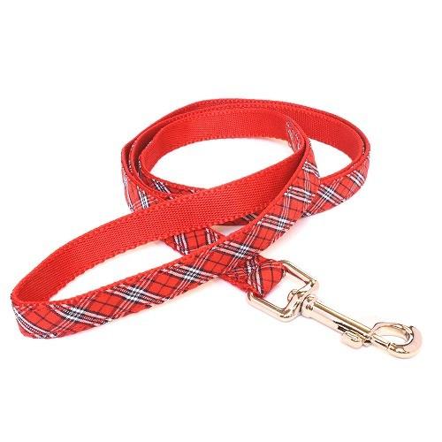 【同梱不可】LEADOGアールリードSSアカ