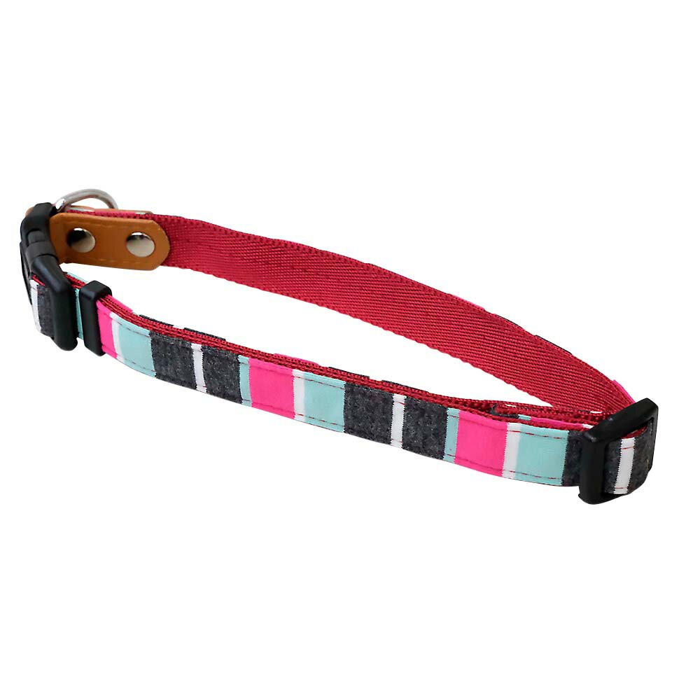 【!!クーポン配布中!!】 リードッグ 【同梱不可】LEADOGパステルボーダーワンタッチカラーMミント