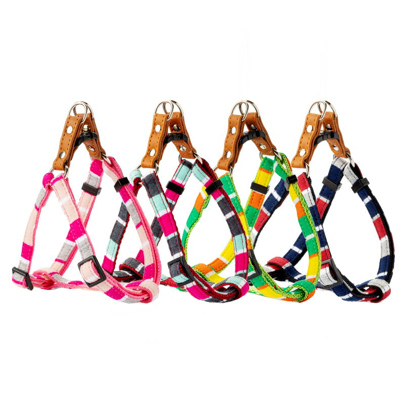 【同梱不可】【6個セット】リードッグ LEADOGパステルボーダーカンタンハーネスSミント