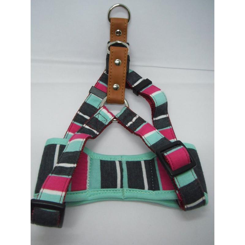 リードッグ 【同梱不可】【2個セット】LEADOGパステルボーダーカンタンソフトハーネスMミント