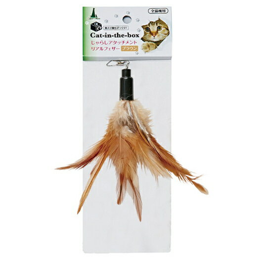 ��Ʊ���Բġۡ�3�ĥ��åȡۥڥƥ��� Add.Matecatinthebox����餷�����å����ȥꥢ��ե������֥饦��