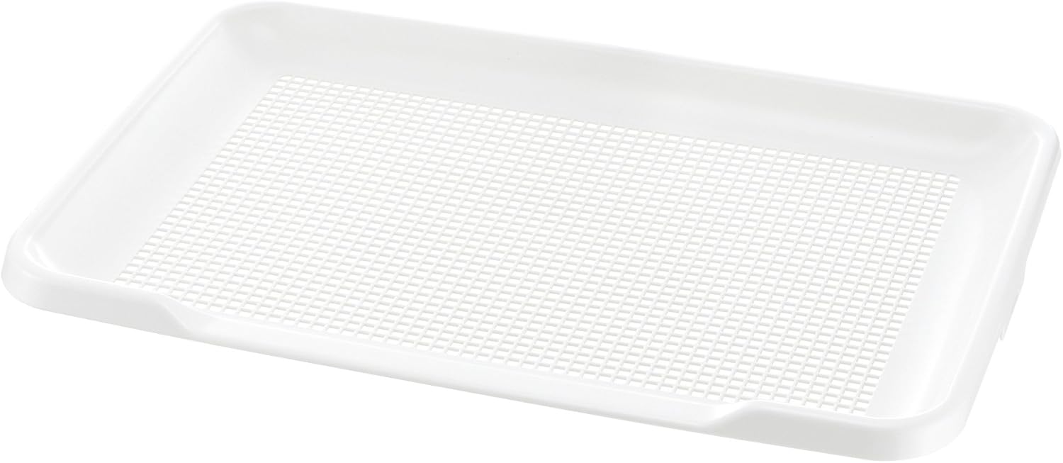 ��å����� ��Ʊ���Բġۡ�5�ĥ��åȡۥ�å����� ���ݽ���ñ���ƥåץȥ졼��å���磻��