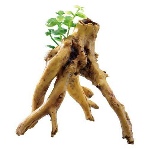 【同梱不可】【12個セット】ジェックス癒し水景水草付き流木ブランチ