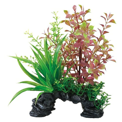 ��Ʊ���Բġۡ�2�ĥ��åȡۥ����å����������MIX�ץ��ĥߥ˥�������åɥ�����