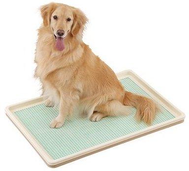 【同梱不可】ボンビアルコン　しつけるトレーXLメッシュタイプ