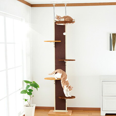 【注意事項】 ・メーカーの都合等により、パッケージ及び内容量、生産地、などが変更される場合がございます。ご了承ください。 ・当店では地球環境への配慮およびお手頃価格での商品の提供のため、簡易的な梱包とさせていただいております。 ・箱潰れなど...