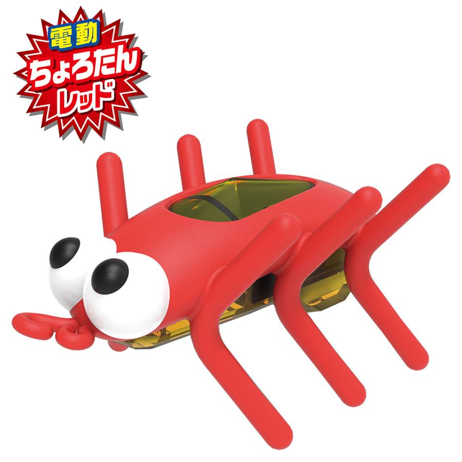 �ڥƥ��� ��Ʊ���Բġۡ�2�ĥ��åȡۥڥƥ��� ǭ�Ѥ������磻��ɥޥ�������������å�