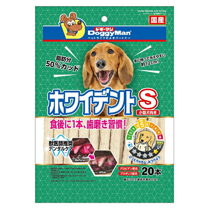 Shoe Shape - 【同梱不可】【12個セット】 ホワイデントS 20本