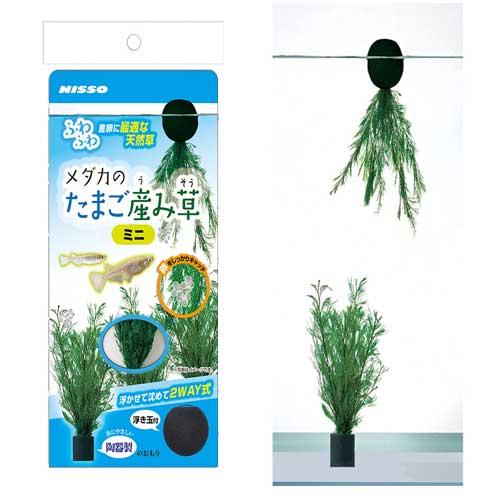 ��Ʊ���Բġ� ��12�ĥ��åȡ۳�����ҥޥ륫��(�˥å���) ������Τ��ޤ�������ߥ�