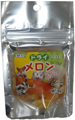 【同梱不可】【20個セット】黒瀬ペットフード 自然派　ドライメロン30g