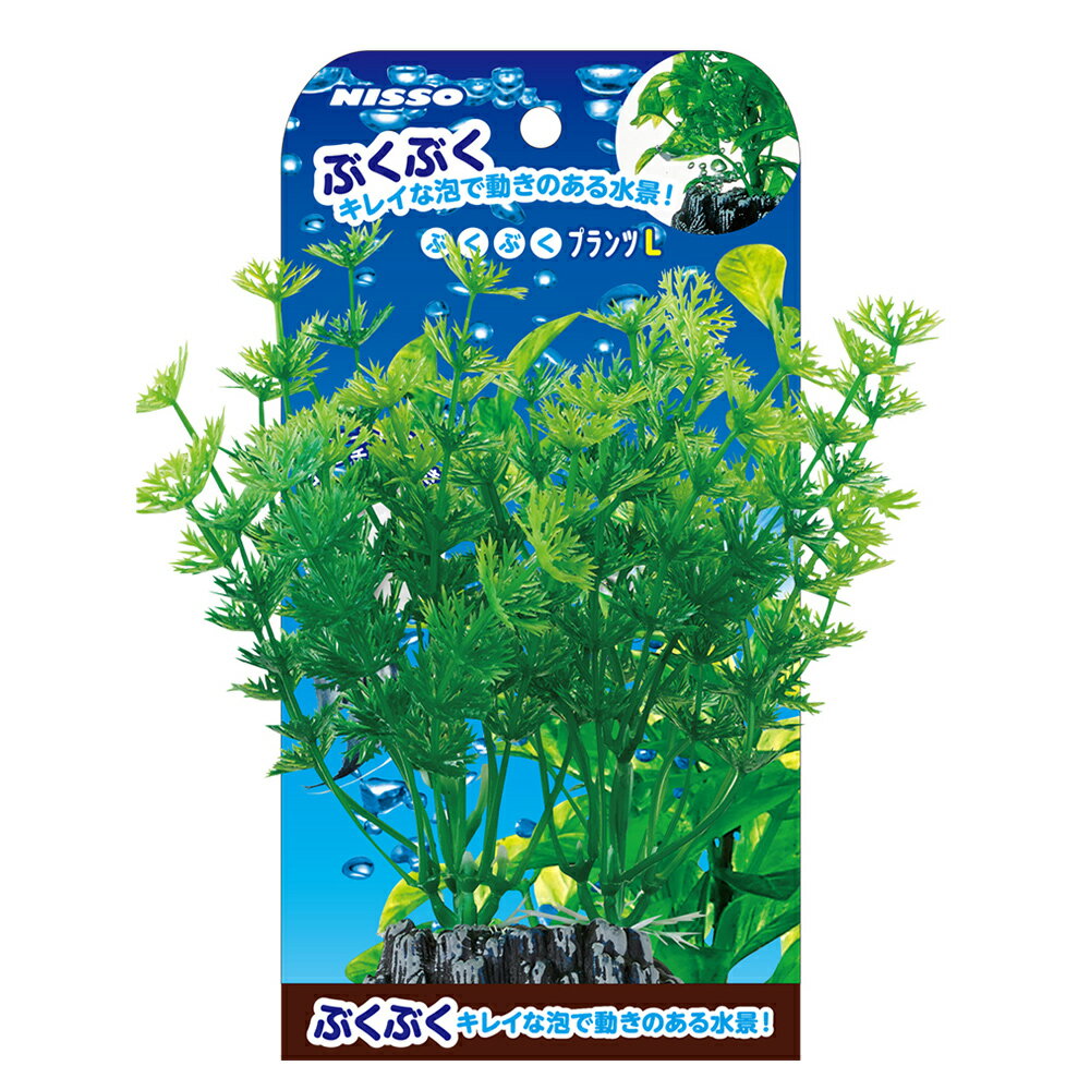 ��Ʊ���Բġۡ�12�ĥ��åȡ� ������ҥޥ륫�� �֤��֤��ץ��Ķʤ���륢��֥ꥢL