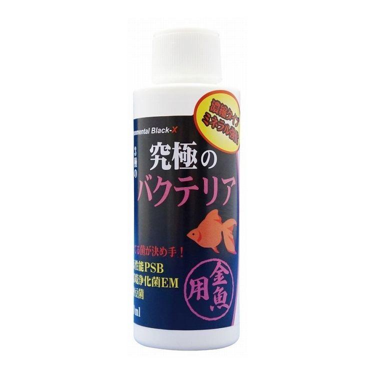 Water Management Related - 【同梱不可】株式会社B−blast　究極のバクテリア　金魚用120ml